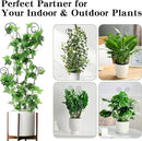 ZOUTOG Trellis for Climbing Plants Indoor 30 Inch, Houseplant Trellis for Potted Plants Metal 4Pcs for Vine Ivy Flower Support,Round Shape,Black by GreenHaven Gardens