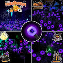 Aogist Halloween Decorations Eyeball Swaying Firefly Light Bright Long Standby Time Waterproof Outdoor Lights for Beautiful Spaces Garden Yard Lawn Pathway Porch Party Decor (Purple, 2 Pack-12 LEDs) by GreenHaven Gardens