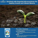 20-20-20 Water-Soluble Fertilizer – Powder for Liquid Plant Food for Indoor & Outdoor Plants, Orchids, Vegetables, Lawns, Flowers – 20 20 20 Fertilizer 3 Quarts (6 lbs) by GreenHaven Gardens