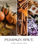 AOOVOO Pumpkin Spice Candles - 22 oz Scented Candles, Aromatherapy Candle, Soy Candle for Home Scented by CozyNest Decor