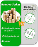 3ft Natural Bamboo Plant Stakes for Tomatoes, Beans, Flowers, Potted, Climbing Plants 25pcs by GreenHaven Gardens