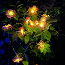 Solar Flowers Outdoor Waterproof - Petunia Blue Morning Glory Flowers&Solar Moth Orchid String Lights 12.5ft 10 LED Phalaenopsis Flower Solar Fairy Lights by GreenHaven Gardens