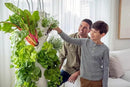 Tower Garden Seedling Starter Kit by GreenHaven Gardens