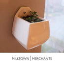 Milltown Merchants Succulent Wall Planter - Black Ceramic Planter - Succulent Plant Pot - Hanging Vase for Living Wall (1 Pack/Contemporary/White) by GreenHaven Gardens