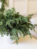 MISSPIN 12 Pcs 21.5 Inches Christmas Cedar Branches, Cedar Artificial Christmas Branches DIY Crafts Faux for Xmas Indoor Outdoor Home Decor by CozyNest Decor