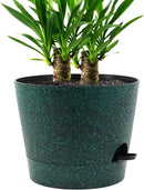 Self Watering Pots for Indoor Plants,12 inch Planters with Drainage Holes Plastic Flower Pots with Deep Reservoir, Black with Green Speckles by CozyNest Decor