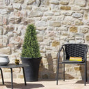 3ft Artificial Boxwood Topiary Trees (Set of 2) - UV Resistant Faux Plants Outdoor, Realistic 36" Fake Cone Bushes and Shrubs for Front Porch, Planter, Patio - Low Maintenance & Evergreen by GreenHaven Gardens