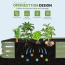 G GOOD GAIN 4-in-1 Adjustable Raised Garden Bed Kit | Galvanized Planter Boxes for Vegetables, Flowers | 12" Tall, Multiple Sizes (5x3x1ft, 4x4x1ft, 6x2x1ft, 7x1x1ft) | Outdoor Metal Raised Bed, Green by GreenHaven Gardens