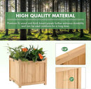 COSTWAY Planter Garden Bed, Folding Planter Box with Drainage Holes for Vegetables, Herbs, Fruits & Flowers, Outdoor Indoor Raised Planting Bed for Patio, Backyard, Lawn, 15" L x 15" W x 14" H by GreenHaven Gardens