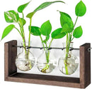 Ivolador Wall Hanging Plant Propagation Station,Bulb Plant Terrarium with Wooden Stand,Unique Gardening Gifts for Women Plant Lovers,Hydroponic Indoor Planter Home Office Decor-3 Bulb Glass Vases by GreenHaven Gardens