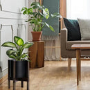 D'vine Dev Planter Pot with Stand - 8 Inch Plastic Cylinder Flower Pot with Wood Planter Holder for Indoor, Matte Black Pot + Walnut Color Stand, 55-C-I-2 by GreenHaven Gardens