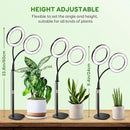 Dual Heads Grow Lights for Indoor Plant Full Spectrum, Desk Halo Plant Lights for Indoor Growing with 3/9/12 Timer, 5 Dimmable Levels,Height Adjustable 9.4-23.6",Strong Metal Base Happy Light by GreenHaven Gardens