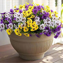 18 Bundles Artificial Fake Pansy Flowers for Outdoor, Faux UV Resistant Silk Pansies Flowers for Outside Planter Front Door Porch Yard Patio Window Box Home Decor (18, Purple, Yellow, White) by CozyNest Decor