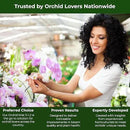 Premium Orchid Plant Food Mist – Orchid Fertilizer Spray – Orchid Food Fertilizer for Blooming – Orchid Plant Care Formula 3-1-2 – Ready-to-Use (16 OZ) by GreenHaven Gardens
