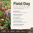 Eden Brothers Field Day Flower Mixed Seeds for Planting, 1 lb, 480,000+ Seeds with Zinnia Lilliput, Calendula Mix | Attracts Pollinators, Plant in Spring or Fall, Zones 3, 4, 5, 6, 7, 8, 9, 10 by GreenHaven Gardens