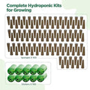 LETPOT 200 Pcs Seed Pod Kits, Replacement Root Growth Sponges Seed Pods, Seed Starter Sponges Kit for Hydroponic Indoor Garden System with 100 Sponges, 100 Stickers by GreenHaven Gardens