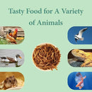 5LB Dried Mealworms, Great Treat for Chicken, Duck, Birds, Reptile, Hamster,Hedgehog, Pigeon by GreenHaven Gardens
