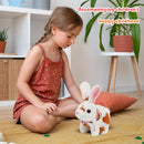 Easfan Bunny Pink Plush Toy Jumping Spotted Rabbit Talking Hopping Ears Nose Moving Educational Plush Toy Singing Shaking Glowing Interactive Toy Electric for Toddlers Kids by TinyTreasures Baby Boutique