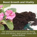 3-1-2 African Violet Fertilizer for Indoor Plants: Liquid Fertilizer with Essential Micronutrients Drops - Plant Food for African Violets (16 OZ) by GreenHaven Gardens