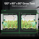 VIVOSUN S105 10x5 Grow Tent, 120"x60"x80" High Reflective Mylar with Observation Window and Floor Tray for Hydroponics Indoor Plant for VSF6450 by GreenHaven Gardens