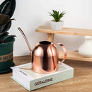 IMEEA Indoor Watering Can for House Plants 33oz/1L Stainless Steel Watering Can with Long Spout (Rose Gold) by GreenHaven Gardens
