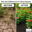 Gypsum for Soil - Calcium for Plants - Gypsum Fertilizer for Gardening, Lawn & Vegetables - Calcium for Garden (3 qts. - 6 lbs.) by GreenHaven Gardens