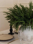 MISSPIN 12 Pcs 21.5 Inches Christmas Norfolk Pine Branches, Norfolk Pine Artificial Christmas Branches DIY Crafts Faux Pine Branches for Xmas Indoor Outdoor Home Decor by CozyNest Decor