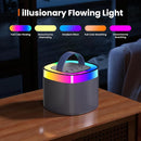 YLL Karaoke Machine for Adults Kids, Portable Bluetooth Karokee Speaker with 2 Wireless Microphones, Singing Karaoke Machine Built-in LED Lights for Birthday Gifts, Family Home Party(Space Gray) by TinyTreasures Baby Boutique