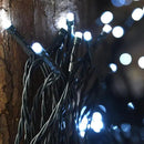 Solar String Lights Outdoor, 2 Pack 240 Led Solar Fairy Lights for Outside Waterproof 170ft Cool White Solar Lights 8 Lighting Mode Solar String Lights for Outside,Garden,Courtyards,Trees by GreenHaven Gardens