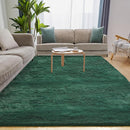 Ultra Soft Fluffy 6x9 Green Area Rugs - Plush Non-Slip Indoor Carpet for Living Room, Bedroom, Nursery, Study, Kids Room Decor by TinyTreasures Baby Boutique
