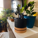 6 Inch Plant Pots, Ceramic Planter Pot with Drainage Hole & Saucer, Indoor/Outdoor Cylinder Round Planter Pot, Matte Black & Brown by CozyNest Decor