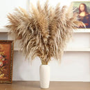 46" inch 11 Stems Natural Pampas Grass Tall Decor,Pompas Grass,Large Borwn Tall Pampas Grass for Floor Vase,Wedding Decorations,Party,Boho Home Decor,and Creating a Boho Ambiance by CozyNest Decor