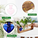 Plant Propagation Stations Heart Plant Terrarium Kit Gift for Women Plant Lover Glass Vases by GreenHaven Gardens
