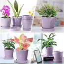 Plant Pots Indoor –5 in Ceramic Flower Pot with Drainage Hole and Ceramic Tray - Gardening Home Desktop Office Windowsill Decoration Gift, Set of 4 - Plants Not Included(Purple) by GreenHaven Gardens