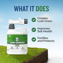 Turf Titan Lawn Advancer – Green Lawn Booster and Lawn Fertilizer (32 oz) – Fast-Acting Hose End Fertilizer Concentrate with Tri-Action Formula – Covers up to 8,000 Sq Ft by GreenHaven Gardens