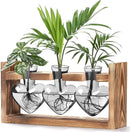 Lifecapido Heart Shaped Propagation Stations, Plant Terrarium with Wooden Stand, Plant Propagation Station for Hydroponics Plants Office Garden Home Decor, Gifts for Women Plant Lover (3 Vases, Gray) by GreenHaven Gardens