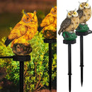 Dazzle Bright Owl Figure Solar LED Lights, Resin Garden Waterproof Decorations with Stake for Outdoor Yard Pathway Outside Patio Lawn Decor to Scare Birds Away, Brown (2 Pack) by GreenHaven Gardens