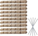 Beuta Landscape Edging | Garden Edging Border | Faux Stone Bricks for Lawn edging, Flower beds, Pathways & Yard Edging– 10 Packs | Each Section Has 6 Bricks 48"L x 4"W x 2.25"H | 30 Spikes |Sandstone by GreenHaven Gardens