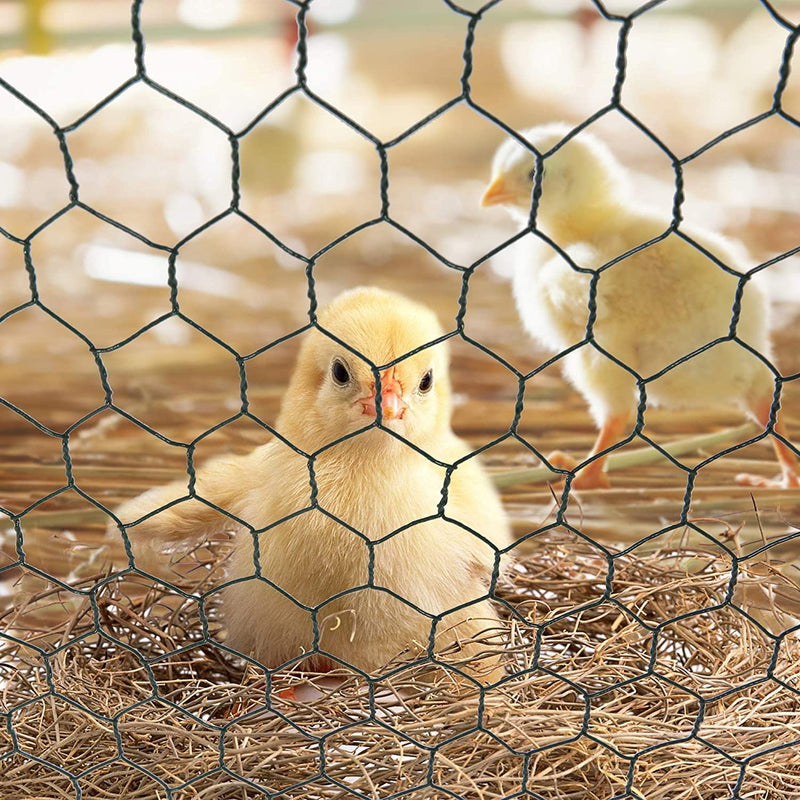 Outdoor Large Metal Chicken Coop 10' x 6.5' x 6.5' Walk-in Poultry Cage Backyard Hen House with Chicken Run Cover