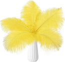 THARAHT Yellow Ostrich Feathers 24pcs Natural Bulk 10-12Inch 25cm-30cm for Crafts Wedding Party Centerpieces Halloween and Home Decoration Feathers by CozyNest Decor