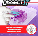Dissect-It Simulated Synthetic Lab Dissection Toy, STEM Projects for Kids, Animal Science, Biology, and Anatomy Home Learning Kit, Bat by TinyTreasures Baby Boutique