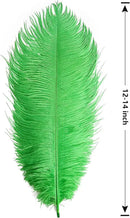 THARAHT Green Ostrich Feathers 12pcs Large Natural Bulk 12-14Inch 30cm-35cm for Wedding Party Centerpieces Mardi Gras and Home Decoration Feathers by CozyNest Decor