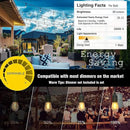 Achin Outdoor String Lights 96FT(48FT*2) Waterproof IP65 LED Patio Lights with 30+2 S14 Edison Bulbs Warm 2200K Hanging Lights Outside Shatterproof String Lights for Outside Bistro, Market, Yard by GreenHaven Gardens