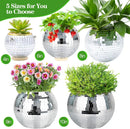 8" Silver Disco Ball Planter with Hanging Rope, Hanging Chain, Hook, Circle | for Decoration by GreenHaven Gardens