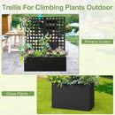 Metal Raised Garden Bed, Trellis Planters Bed with Drainage Holes for Climbing Plants, Vegetables Outdoor Privacy Screen with Planter Box 63"x24"x12", Black by GreenHaven Gardens