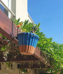 6 Pieces, 6 inches Iron Hanging Flower Pot. Metal Plant Wall Hanger, Vertical Garden. Planter Hook Ring, Rail Metal Fence. Indoor and Outdoor. Yard Garden. Wire Trellis. Collapsible Bracket. (Black) by GreenHaven Gardens