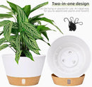 QCQHDU 2 Pack Hanging Planters for Indoor Outdoor Plants, 8 Inch Hanging Baskets Flower Pots with Reservoir Tray & Visible Water-Level by GreenHaven Gardens