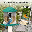 Bird Feeders for Outdoors, Smart Bird Feeder with Camera Solar Powered, AI Species Identification, 3K Video Live Stream Camera, 5Mp HD Night Vision, Instant Arrival Alerts (Light Green) by CozyNest Decor