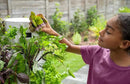 Tower Garden Seedling Starter Kit by GreenHaven Gardens