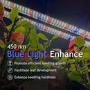 DYMOND BoostGro LED Seed Starter Grow Light Full Spectrum Linkable 5000k Daylight + 660nm Red + 450nm Blue Indoor Plant Lighting Fixture (2 FT, Black) by GreenHaven Gardens